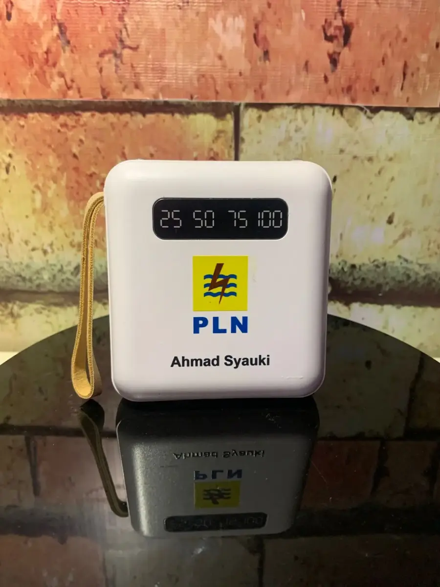 Powerbank PLN